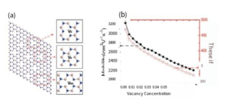 Simulation of carrier mobility at different vacancy concentrations